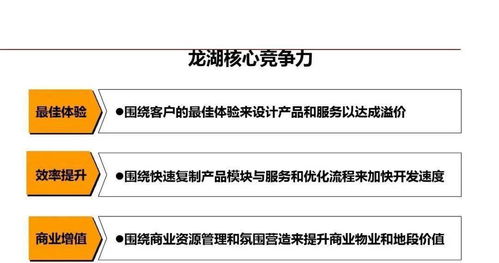 龍湖企業精細化管理 運營之道與卓越實踐